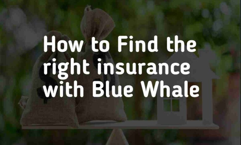 How to Find the right insurance with Blue Whale