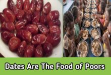 Dates Are The Food of Poors