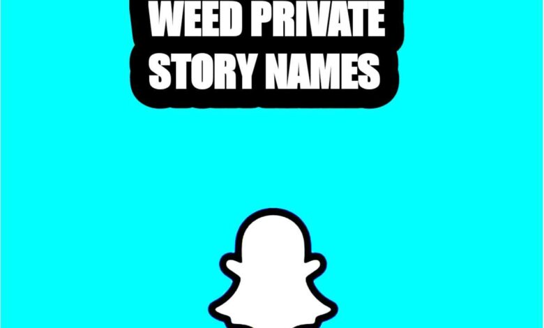 Funny Stoner Private Story Names